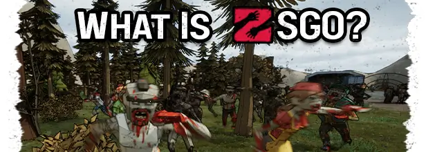 Infographic explaining what Zombie Survival Game Online is